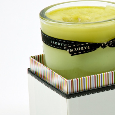 Anthropologie-box