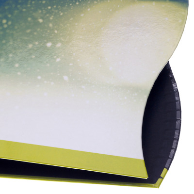 Ucda-conference-binder-2
